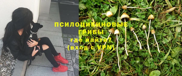 гашишное масло Инсар