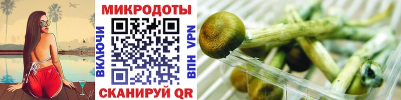 Купить где  Дорогобуж  Галлюциногенные грибы ЛСД 